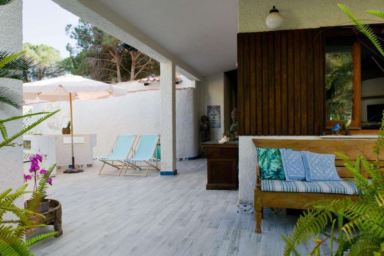 Jungle House - Pineta Is Morus *