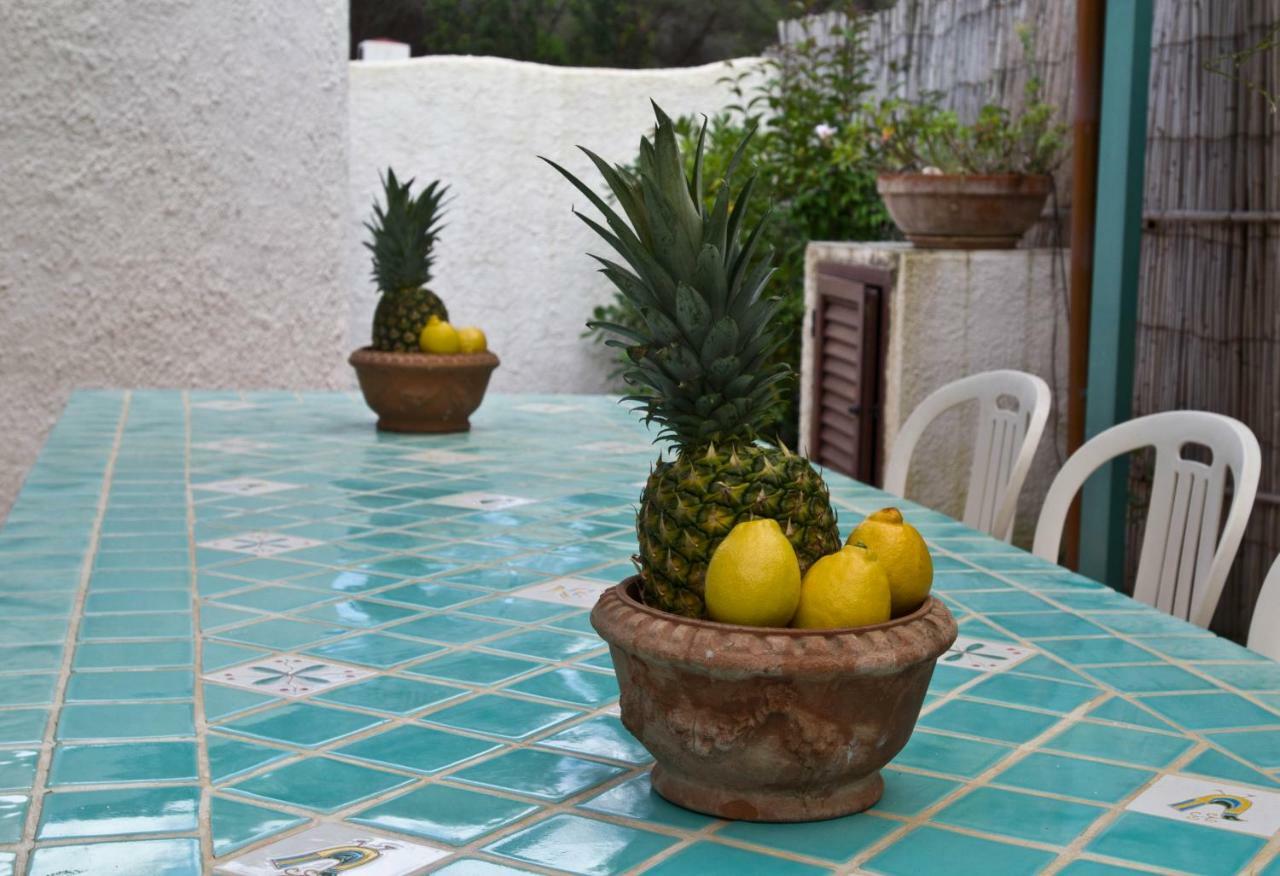 Casa de Férias Jungle House - Pineta Is Morus *